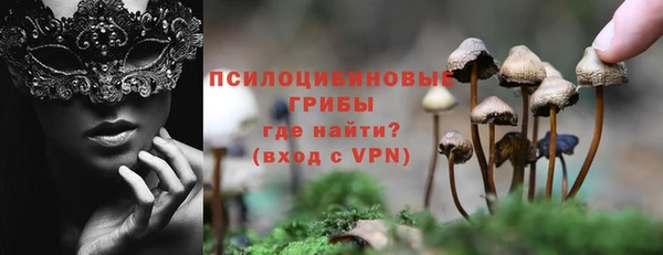 гидра Алзамай