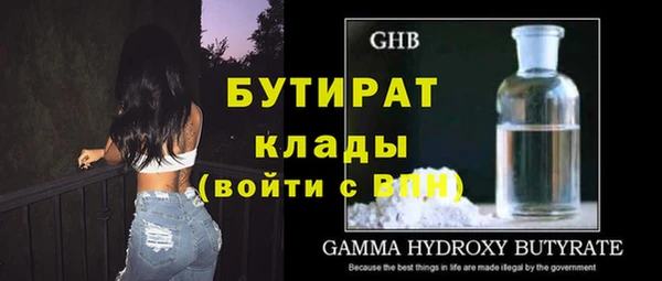 индика Алексин