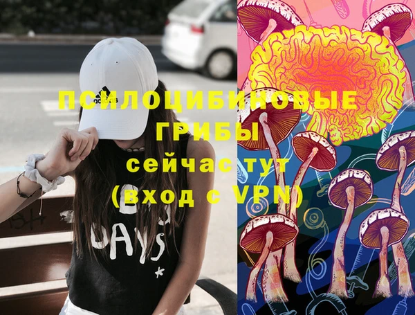 индика Алексин