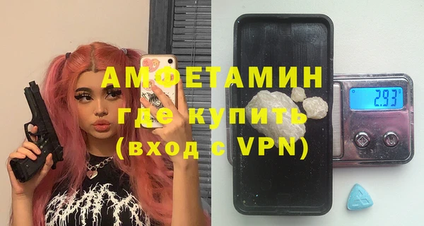 индика Алексин