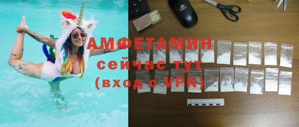 индика Алексин
