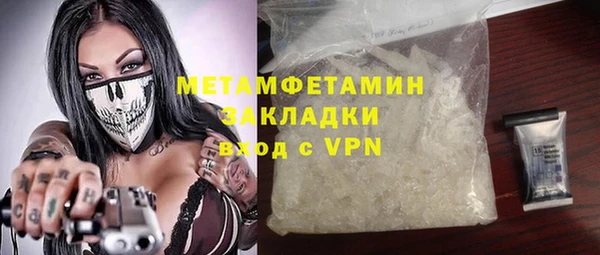 индика Алексин