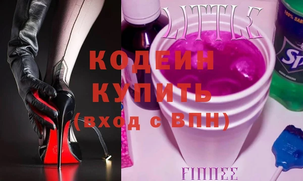 индика Алексин