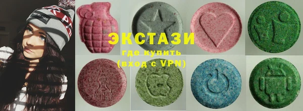 индика Алексин
