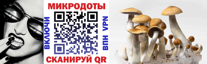 кракен сайт  купить  цена  Трёхгорный  Галлюциногенные грибы Psilocybine cubensis 